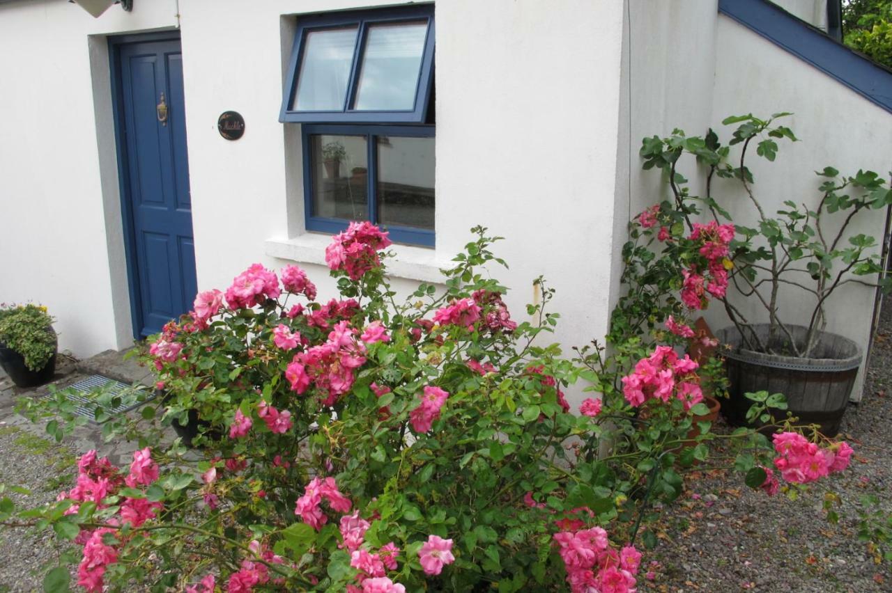 Vila Muckle Flugga Goleen Exteriér fotografie
